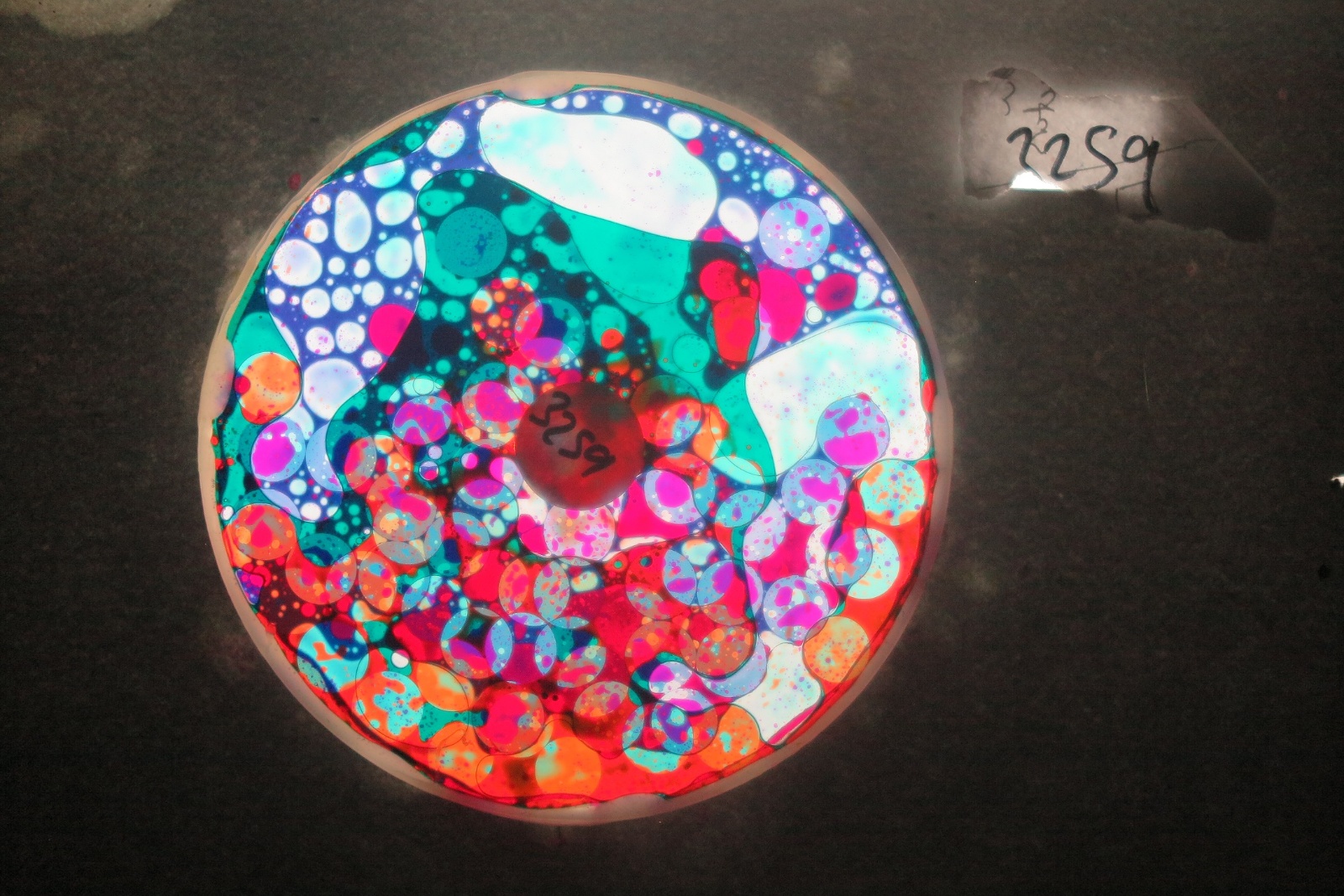 BV3259 bubble vision oil wheel